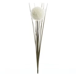 Allium - Ca. 66 Cm - Weiß