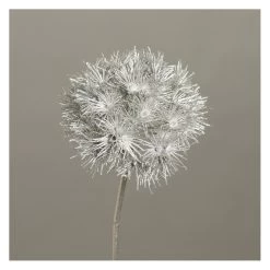 Allium - Ca. 70 Cm - Silber