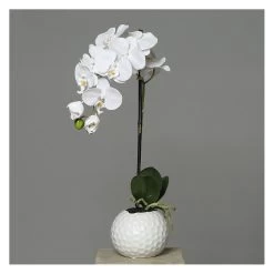 Orchidee In Topf - Ca. 46 Cm - Weiß