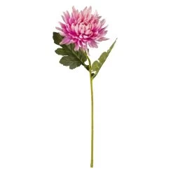 Chrysantheme - Ca. 45 Cm - Rosé