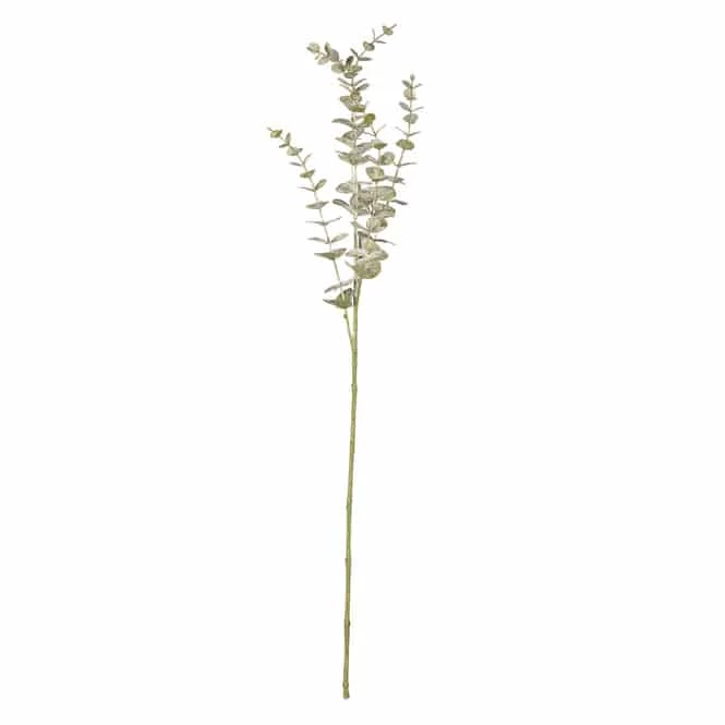 Eukalyptuszweig - Ca. 73 Cm