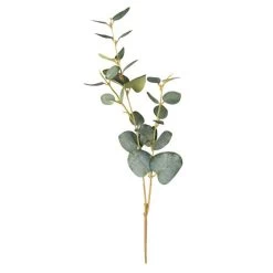 Eukalyptus - Ca. 48 Cm - Grün