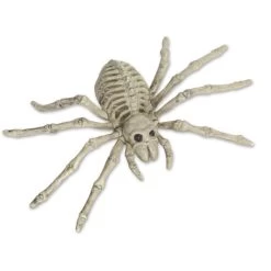 Deko-Skelett - Spinne - Ca. 24 Cm