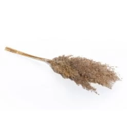 Dekogras - Ca. 75 Cm - Braun