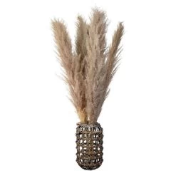 Pampasgras - Ca. 145 Cm